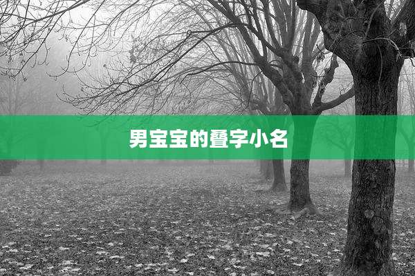 男宝宝的叠字小名