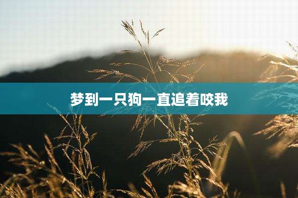 梦到一只狗一直追着咬我