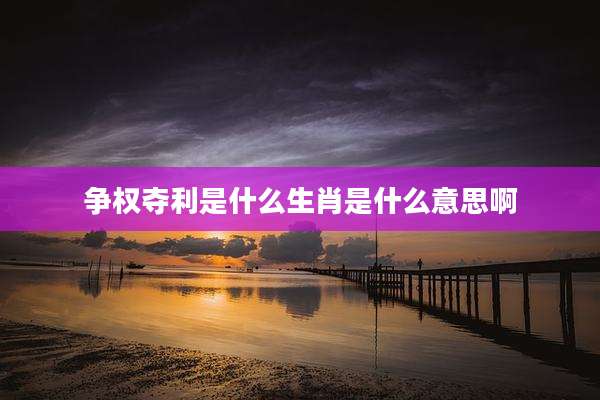争权夺利是什么生肖是什么意思啊