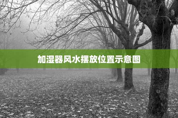 加湿器风水摆放位置示意图