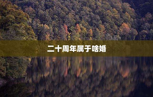 二十周年属于啥婚