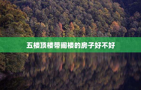 五楼顶楼带阁楼的房子好不好