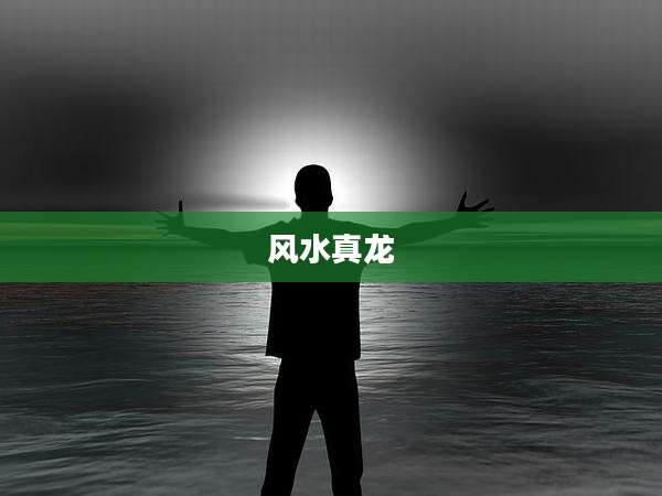 风水真龙