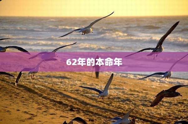 62年的本命年