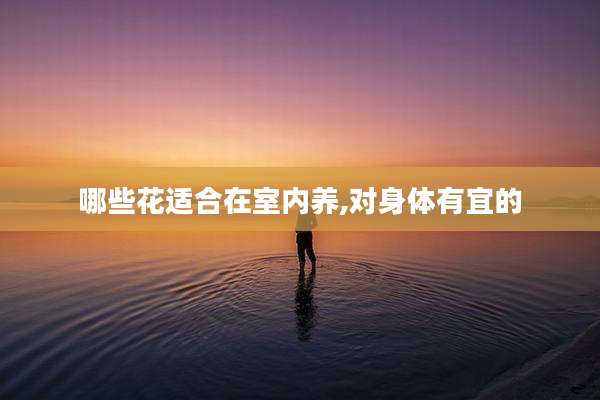 哪些花适合在室内养,对身体有宜的