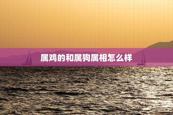 属鸡的和属狗属相怎么样