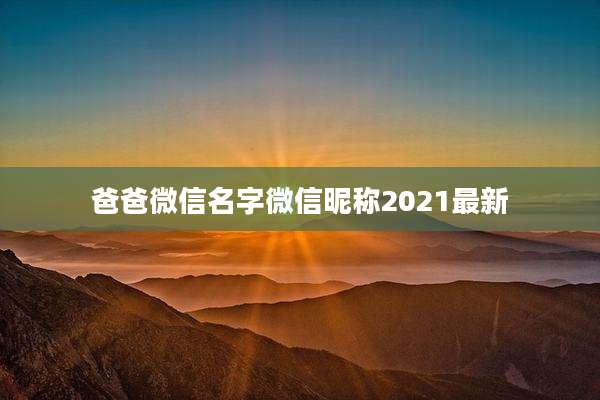 爸爸微信名字微信昵称2021最新