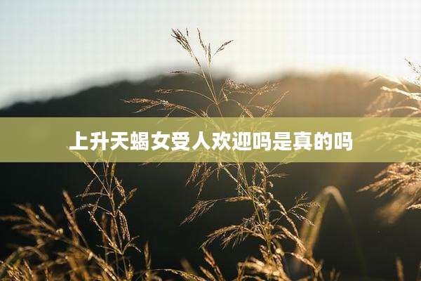 上升天蝎女受人欢迎吗是真的吗