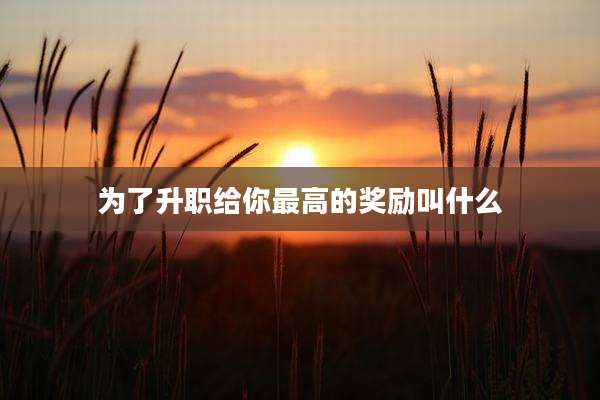 为了升职给你最高的奖励叫什么