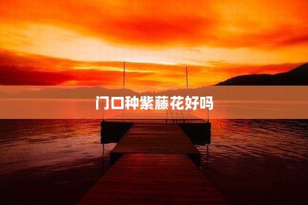 门口种紫藤花好吗