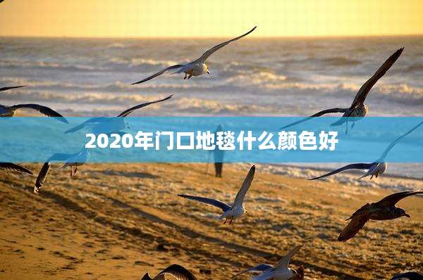 2020年门口地毯什么颜色好