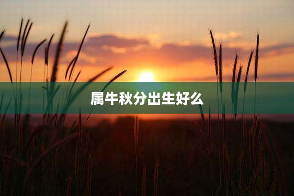 属牛秋分出生好么