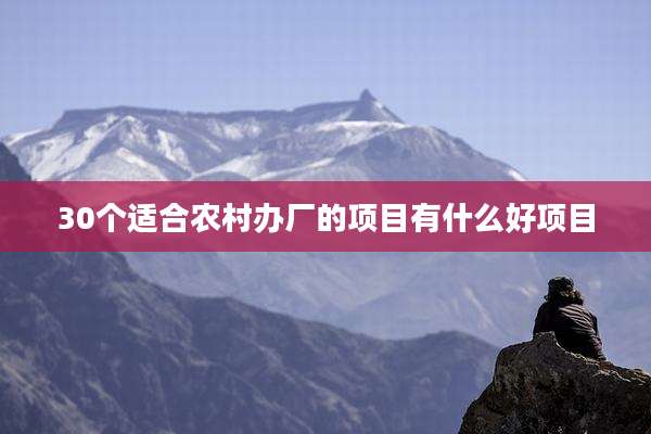 30个适合农村办厂的项目有什么好项目