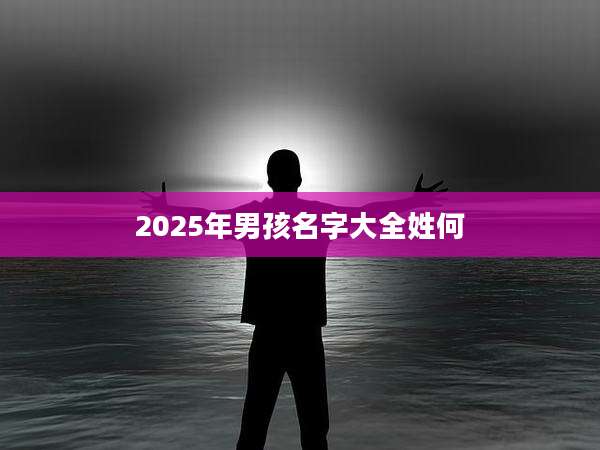 2025年男孩名字大全姓何
