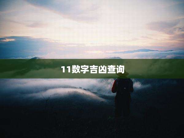 11数字吉凶查询