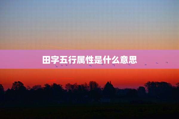 田字五行属性是什么意思