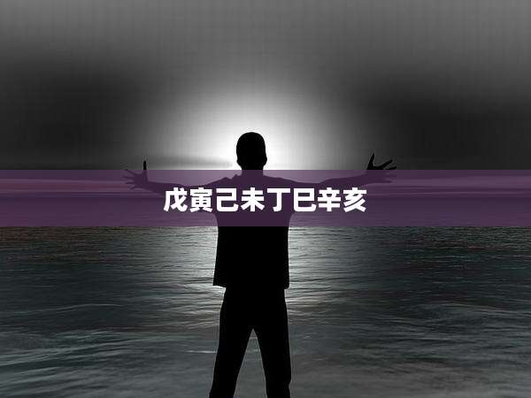 戊寅己未丁巳辛亥