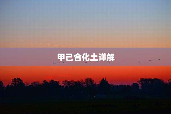 甲己合化土详解