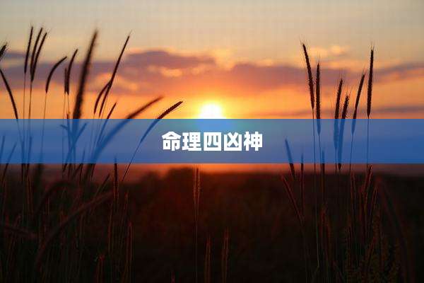 命理四凶神