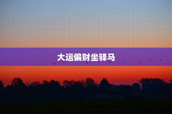 大运偏财坐驿马