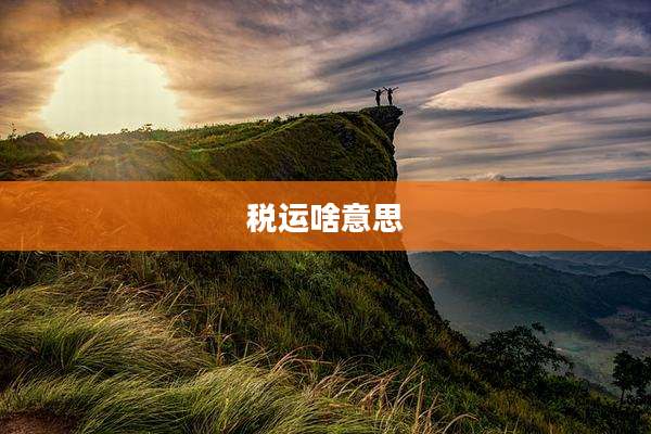 税运啥意思