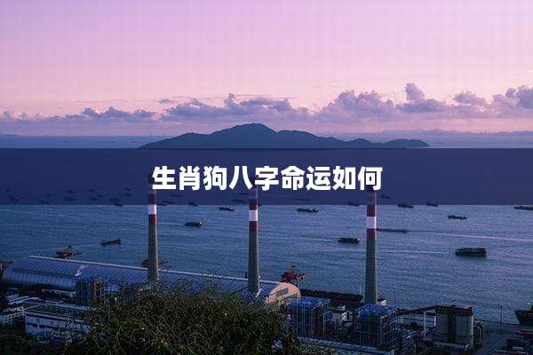 生肖狗八字命运如何