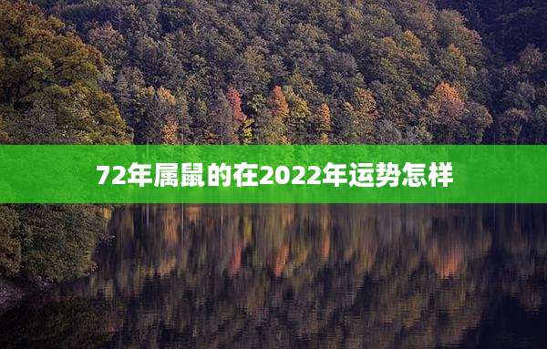 72年属鼠的在2022年运势怎样