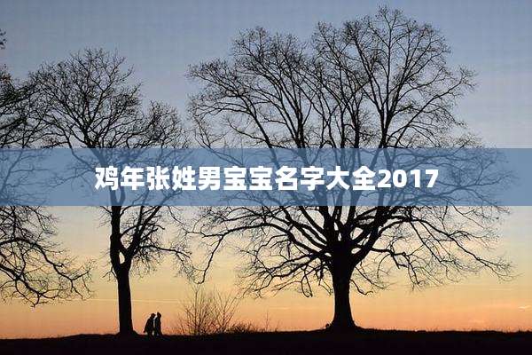 鸡年张姓男宝宝名字大全2017