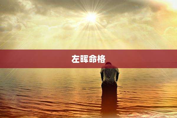 左晖命格