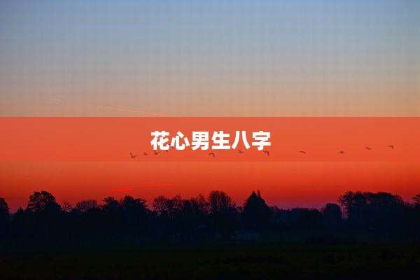 花心男生八字