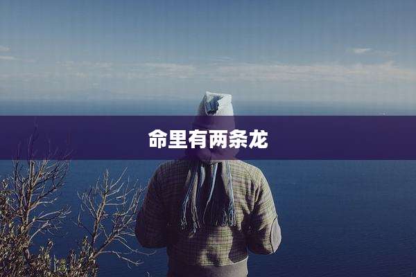 命里有两条龙