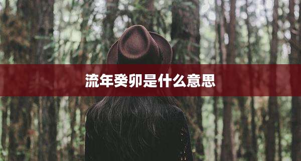 流年癸卯是什么意思