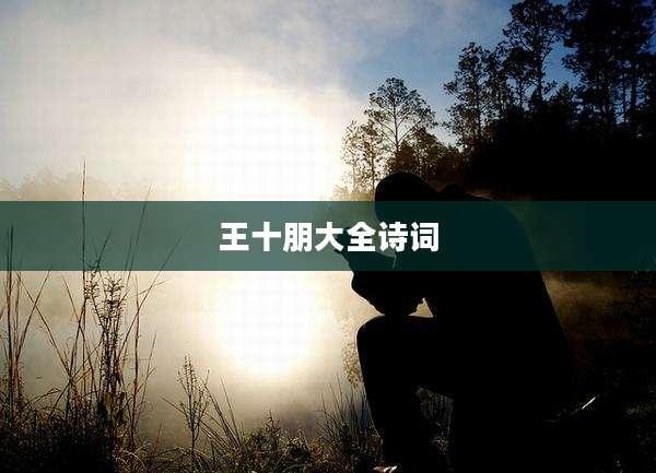 王十朋大全诗词