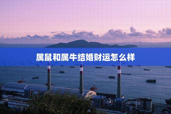 属鼠和属牛结婚财运怎么样