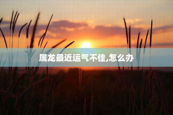 属龙最近运气不佳,怎么办
