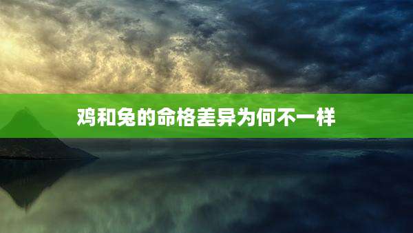 鸡和兔的命格差异为何不一样