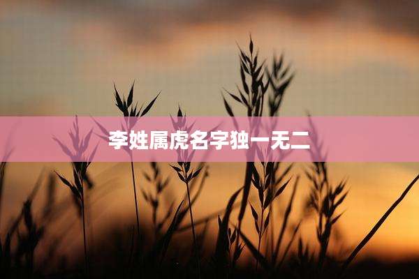 李姓属虎名字独一无二