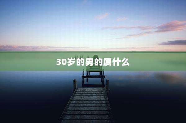 30岁的男的属什么