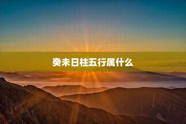 癸未日柱五行属什么