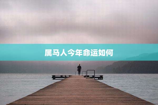属马人今年命运如何