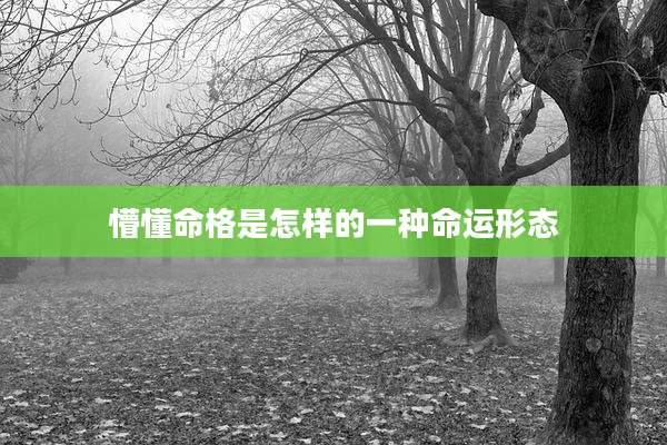 懵懂命格是怎样的一种命运形态
