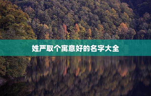 姓严取个寓意好的名字大全