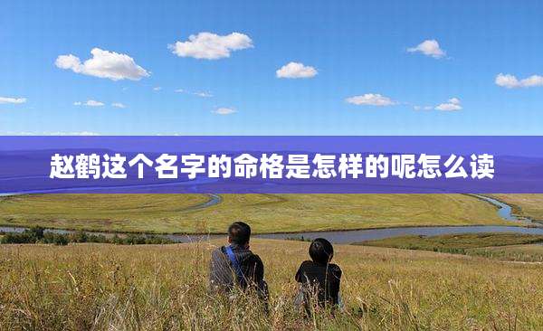 赵鹤这个名字的命格是怎样的呢怎么读