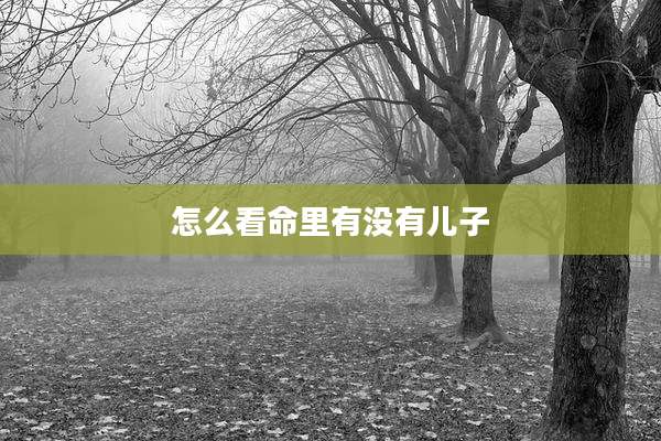 怎么看命里有没有儿子