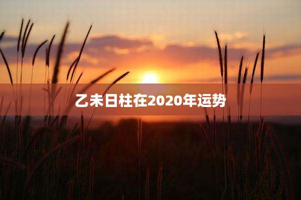 乙未日柱在2020年运势