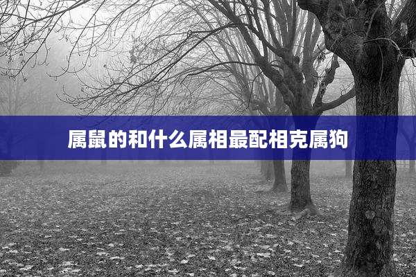 属鼠的和什么属相最配相克属狗