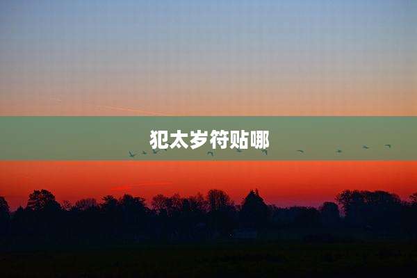 犯太岁符贴哪