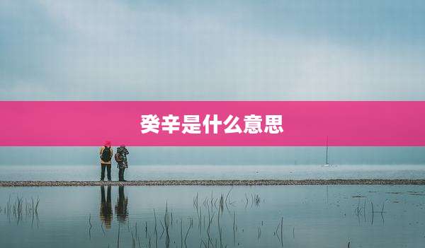 癸辛是什么意思