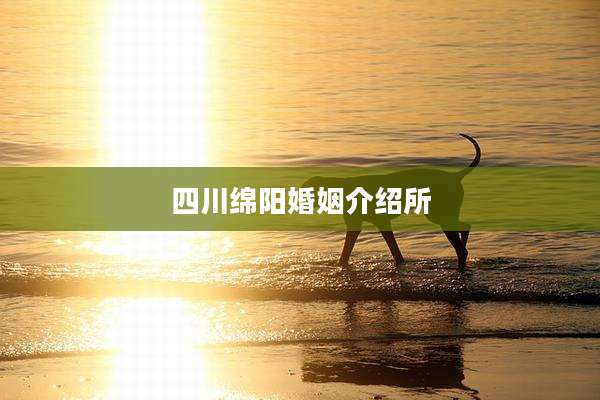 四川绵阳婚姻介绍所