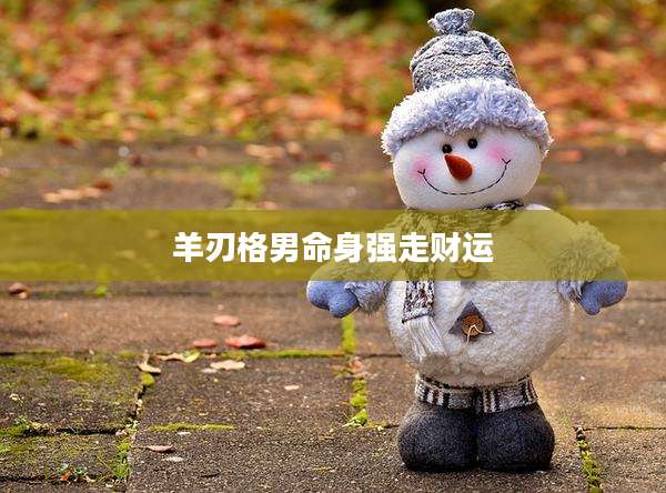 羊刃格男命身强走财运